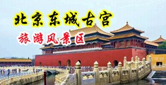 四川中年女人骚b肥唇中国北京-东城古宫旅游风景区